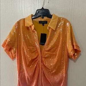 Sequin Ombre dress